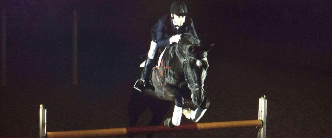 Show jumping horse and rider